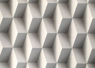 Colro gris 3D se dirige el papel pintado desprendible, papel pintado moderno geométrico del efecto 3D